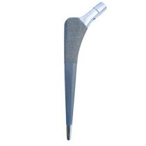 Troy Cementless Porous Coated Femoral Stem