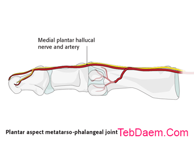 Medial approach to the 