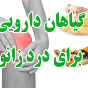 درمان گیاهی درد پشت زانو