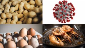 افراد مبتلا به آلرژی غذایی خطر ابتلا به کووید کمتری دارند